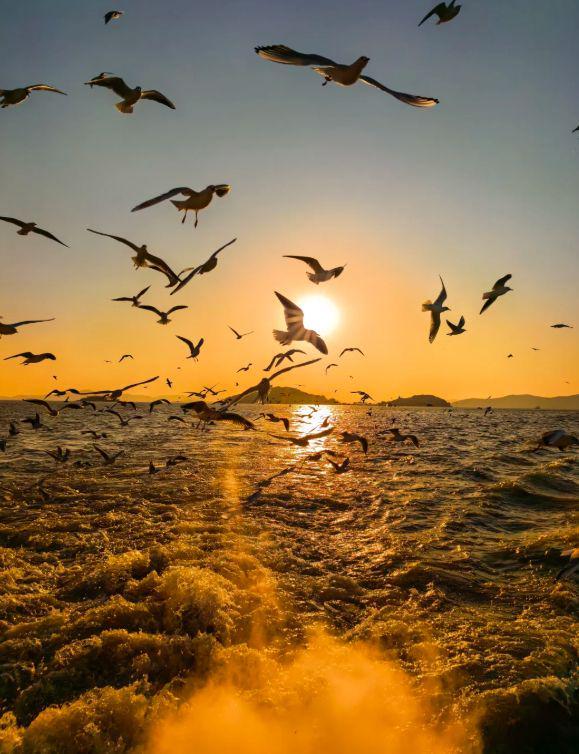 无锡太湖边的小日子：鼋头渚樱花与南长街夜话